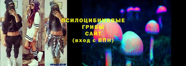 а пвп мука Богданович