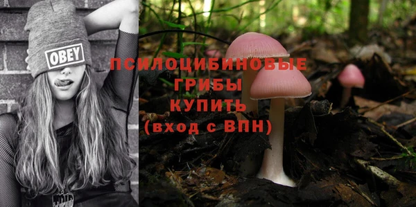гидропоника Богородск