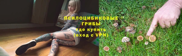 гидропоника Богородск